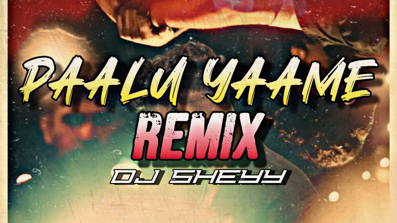 Album art for Paalu Yaame (Remix)