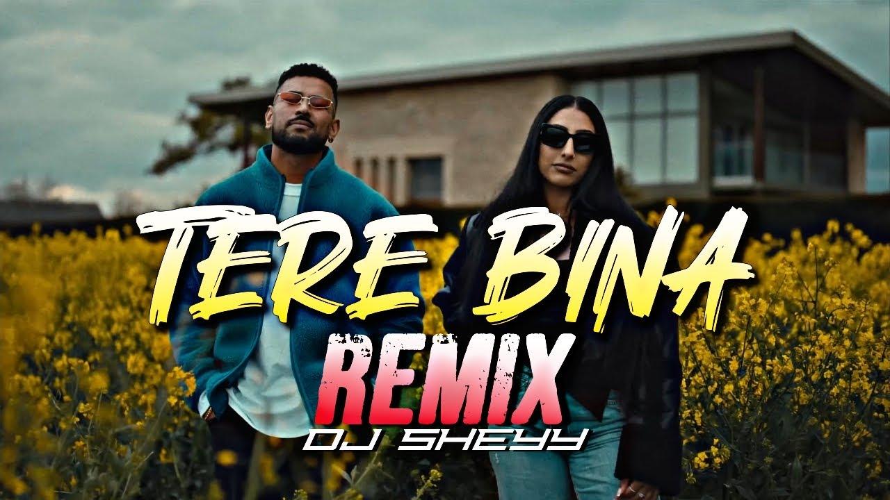 Album art for Tere Bina (Remix)
