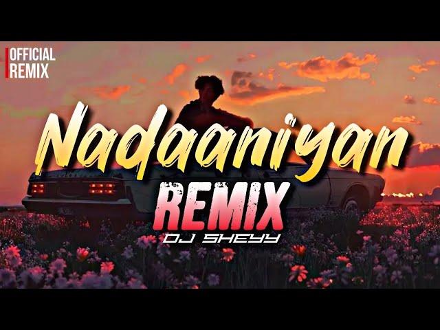 Album art for Nadaaniyan (Remix)