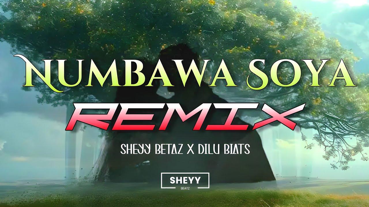 Album art for Numbawa Soya (Remix)